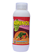 Amnol