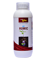 GNP Humic